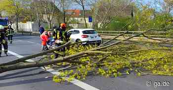 Sturmschäden in der Region: Sturmböen sorgten für umgestürzte Bäume und Unfälle - General-Anzeiger Bonn