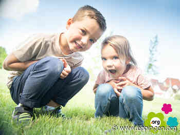 Gartenschau Eppingen: Ausflugsziel für die ganze Familie - Eppingen.org