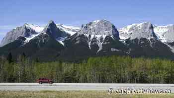 Wildlife crossing over Trans-Canada Highway near Canmore aims to keep drivers and animals safe | CTV News - CTV News Calgary