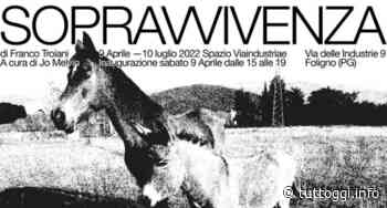 Inaugura a Foligno la mostra “Soprawivenza” dello spoletino Franco Troiani - TuttOggi