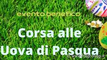 Caccia al tesoro pasquale per aiutare la Pediatria di Foligno - Foligno Oggi