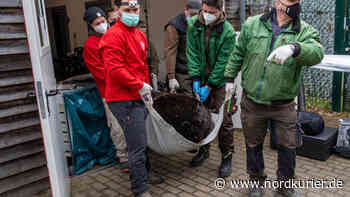 Bärenwald Stuer: Zahnarzt untersucht 157 Kilogramm schwere Patientin | Nordkurier.de - Nordkurier