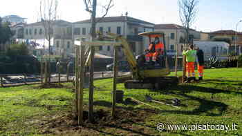 Verde urbano, Pisa a convegno come caso di studio nazionale - PisaToday