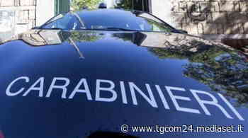 Cuneo, cade dall'impalcatura mentre lavora: morto un operaio - TGCOM