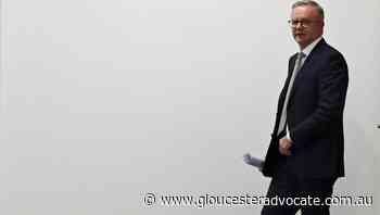 Albanese leading Labor out of wilderness - Gloucester Advocate