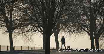 Cornwall weather forecast predicts another frosty start to the day - Cornwall Live