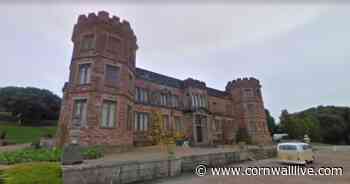 10 dog friendly attractions in Cornwall when they can't go to the beach - Cornwall Live