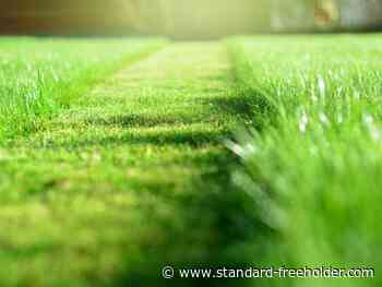 No Mow May could have Cornwall council into the weeds Monday - Standard Freeholder