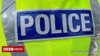 Devon and Cornwall special constable guilty of gross misconduct - BBC.com