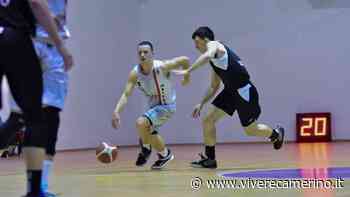 Si chiude la regular season della Vigor Basket Matelica - Vivere Camerino