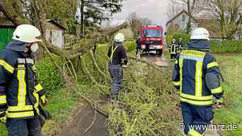 Goch: Vier Sturmeinsätze für die Feuerwehr - NRZ News