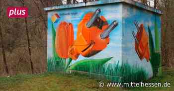 Haiger: Energie für das Klima und gegen Putin - Mittelhessen