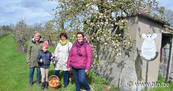 Belevingswandeling gidst je door bloesems Fruitsappen Verhofstede - Het Laatste Nieuws