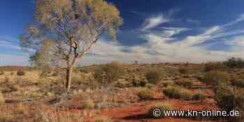 Verschwundener Paddy Moriarty: Australiens Outbackrätsel könnte gelöst werden
