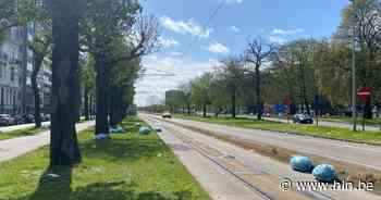 Lijncontroleurs moeten rondvliegende vuilniszakken van tramsporen halen | Gent | hln.be - Het Laatste Nieuws