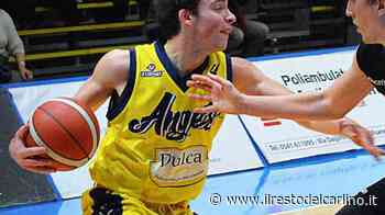 Stop a sorpresa per gli Angels A Bertinoro non basta Mulazzani - il Resto del Carlino