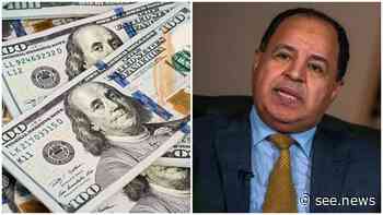 Egypt Considers Using Local Currency Instead of Dollar in Ports, Shipping Agencies - See
