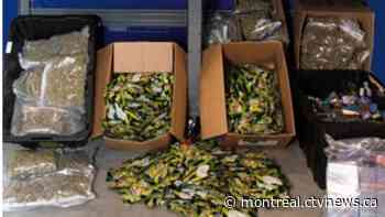 Laval police seize hundreds of bags of weed gummy worms, arrest five - CTV News Montreal