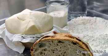 Un vero festival del pane trentino: domenica 10 a Storo, per tutto il giorno, fra degustazioni e incontri - l'Adige
