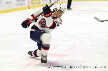 Comox's Nijhoff signs with AHL's San Diego Gulls – Comox Valley Record - Comox Valley Record