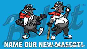 Beloit Sky Carp asking fans to help name new mascot - Channel3000.com - WISC-TV3