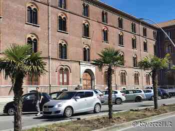 SiAmo Vercelli: “Oltre alle palme c'è (da fare) assai di più” - tgvercelli.it