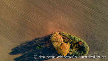 Inflation erfasst die Börse: Was bedeutet das für die Aktionäre?