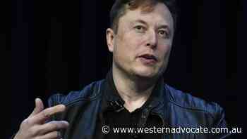 Crypto, homeless help: Musk's Twitter plan - Western Advocate