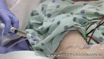 Bacteria turning UTIs into killers - Western Advocate