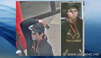 Police working to identify suspect in attempted break-and-enter - Kamloops News - Castanet.net