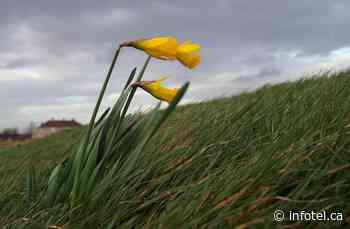Overnight lows could drop below freezing this weekend in Kamloops, Okanagan | iNFOnews | Thompson-Okanagan's News Source - iNFOnews
