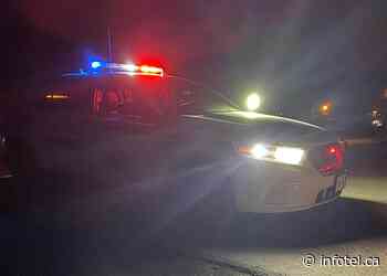 Two dogs struck and killed in Kamloops hit and run near airport | iNFOnews | Thompson-Okanagan's News Source - iNFOnews