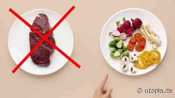 Weniger Fleisch essen – so schaffst du es - Utopia