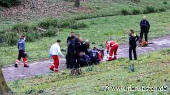 Essen: Nackter Mann rennt durch Park – Polizei-Hund beißt zu - DER WESTEN