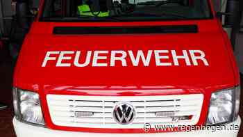 Steinen im Kreis Lörrach: Feuerwehr rettet Kleinkind aus Auto - Regenbogen