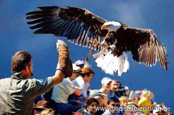 Der Vogelpark Steinen startet optimistisch in die neue Saison - Steinen - Badische Zeitung - Badische Zeitung