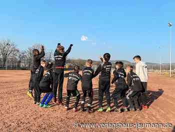 Steinen: FC Steinen-Höllstein plant mit viel Eigenleistung - Verlagshaus Jaumann - www.verlagshaus-jaumann.de
