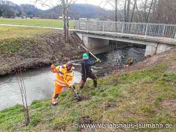 Steinen: 150 Bäume und Sträucher - Verlagshaus Jaumann - www.verlagshaus-jaumann.de