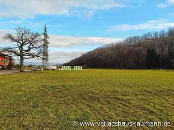 Steinen: Alte Eiche bleibt erhalten - Verlagshaus Jaumann - www.verlagshaus-jaumann.de