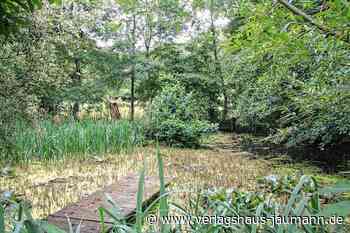 Steinen: Das Paradies macht viel Arbeit - Verlagshaus Jaumann - www.verlagshaus-jaumann.de