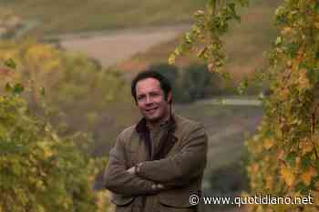 Morro d’Alba e Verdicchio di Jesi: ecco i gioielli di Marotti Campi - Itinerari - QUOTIDIANO NAZIONALE