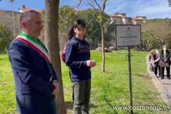 A Oristano nascono i giardini “Alba Marcoli” - Oristano Noi