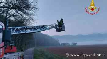 Piante crollano sulle linee elettriche: all'alba i pompieri rimuovono i pericoli mettendo la strada in sicurez - ilgazzettino.it