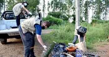 Ivoti faz mutirão de limpeza para combater o Aedes Aegypti - Correio do Povo