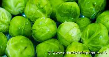 Chemical in sprouts could protect you from Covid, scientists say - Grimsby Live