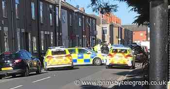 Humberside Police descend on Castle Street with dog units - Grimsby Live