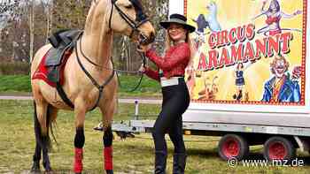 Veranstaltungstipps am Wochenende: Von Zirkus in Oranienbaum bis Live-Musik in Wittenberg - Mitteldeutsche Zeitung