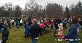 Happy hunting: Children dash for sweets at Easter egg hunt in Auburn - The Citizen