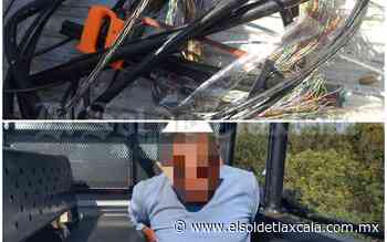 Frustra policía de Apizaco robo de cable telefónico - El Sol de Tlaxcala