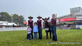 Sydney Royal 2022: Red Angus breed results - The Land Newspaper